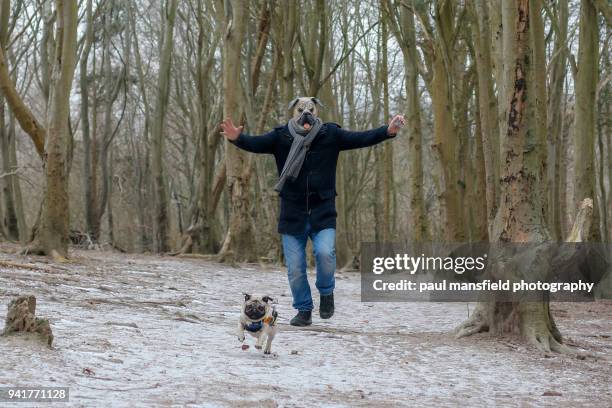 man wearing pug mask with pug - dog chasing man stock pictures, royalty-free photos & images