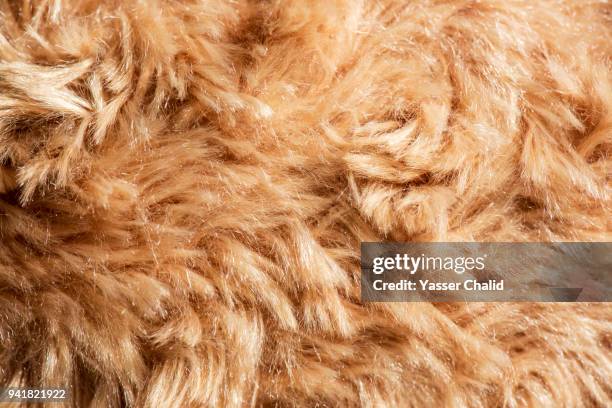 sheep skin - animal skin rug stock-fotos und bilder