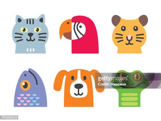 ilustraciones, imágenes clip art, dibujos animados e iconos de stock de colección de mascotas - undomesticated cat