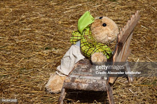 easter bunny reclining on wooden bench in field of straw. - alexander ipfelkofer stock-fotos und bilder