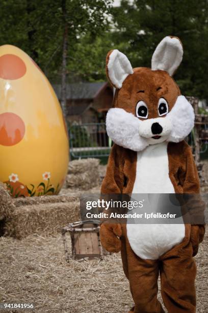 person in brown bunny costume with gigantic yellow egg in background - france costume stockfoto's en -beelden