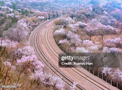 Railway track in spring Railway track in spring