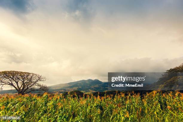 tenorio volcano area, costa rica nature, landscape - costa rica volcano stock pictures, royalty-free photos & images