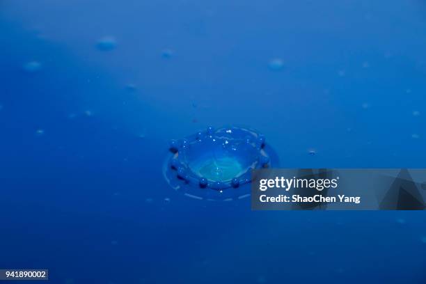 water drop - beed stock pictures, royalty-free photos & images