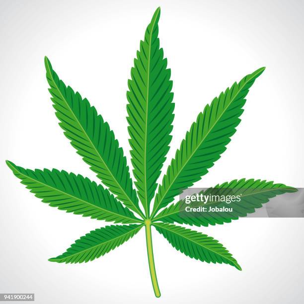 hemp cannabis leaf - grass texture stock illustrations