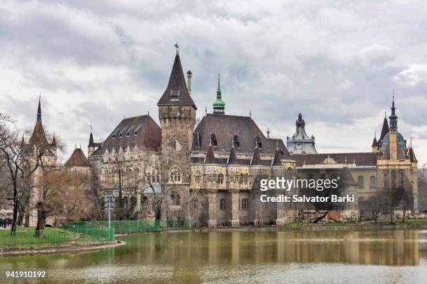 vajdahunyad castle, budapest, hungary - vajdahunyad castle stockfoto's en -beelden