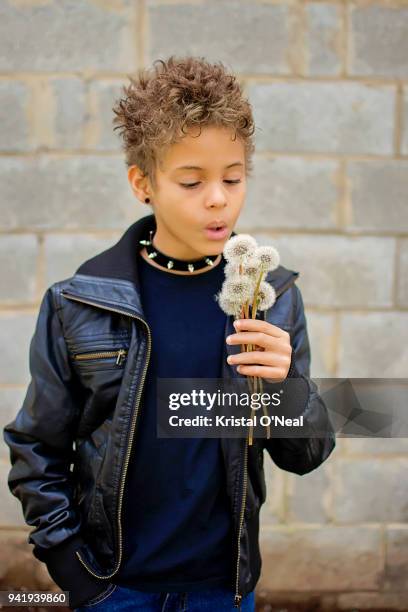 8 year old boy wearing leather jacket and spike collar blowing dandelion flower weeds - spike collar stock pictures, royalty-free photos & images