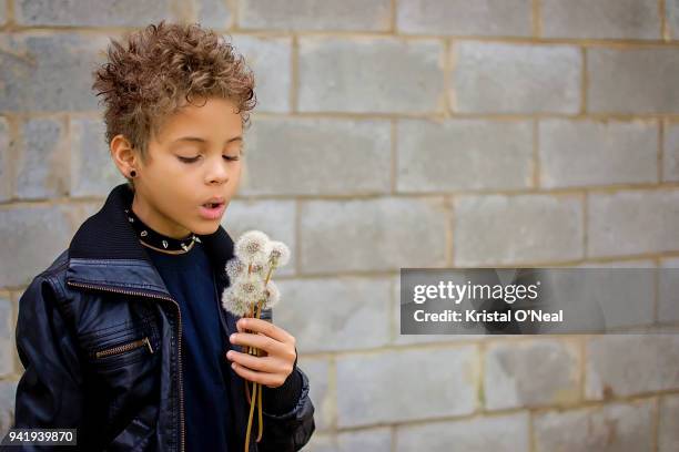 8 year old boy wearing leather jacket and spike collar blowing dandelion flower weeds - spike collar stock pictures, royalty-free photos & images