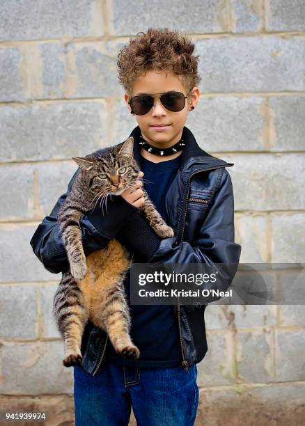 young boy in jacket and sunglasses holding cat - kristal stock pictures, royalty-free photos & images
