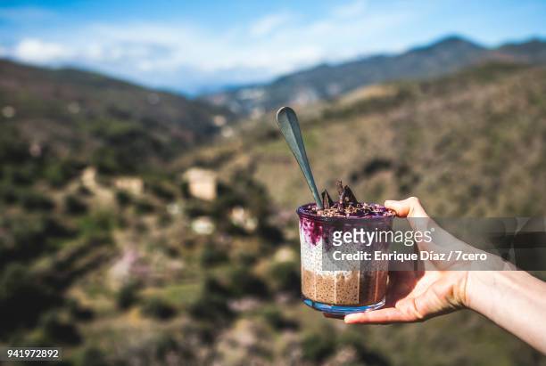 choc berry dessert in the alpujarra mountains, right - alpujarra fotografías e imágenes de stock