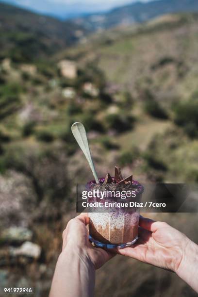 choc berry dessert in the alpujarra mountains, portrait - alpujarra fotografías e imágenes de stock