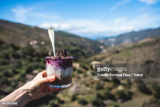 choc berry dessert in the alpujarra mountains, left - alpujarra fotografías e imágenes de stock
