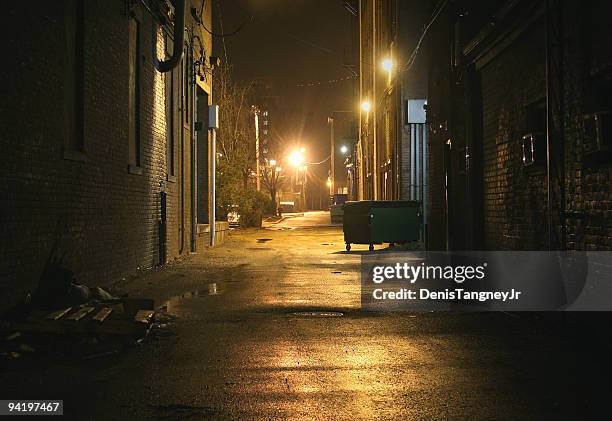 alley - alley fotografías e imágenes de stock