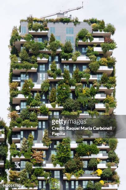 Bosco Verticale" green buildings and residential towers at the Porta Nuova complex.