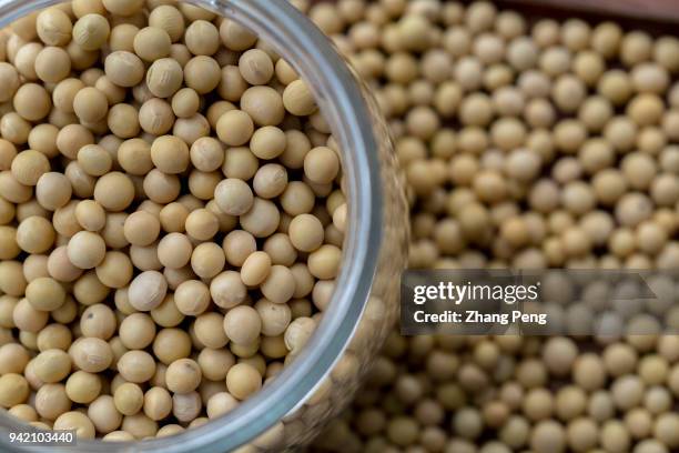 Soybeans arranged for photography. On April 4th, the US government issued a Customs duty list, which would impose a 25% tariff on the 1333 products...