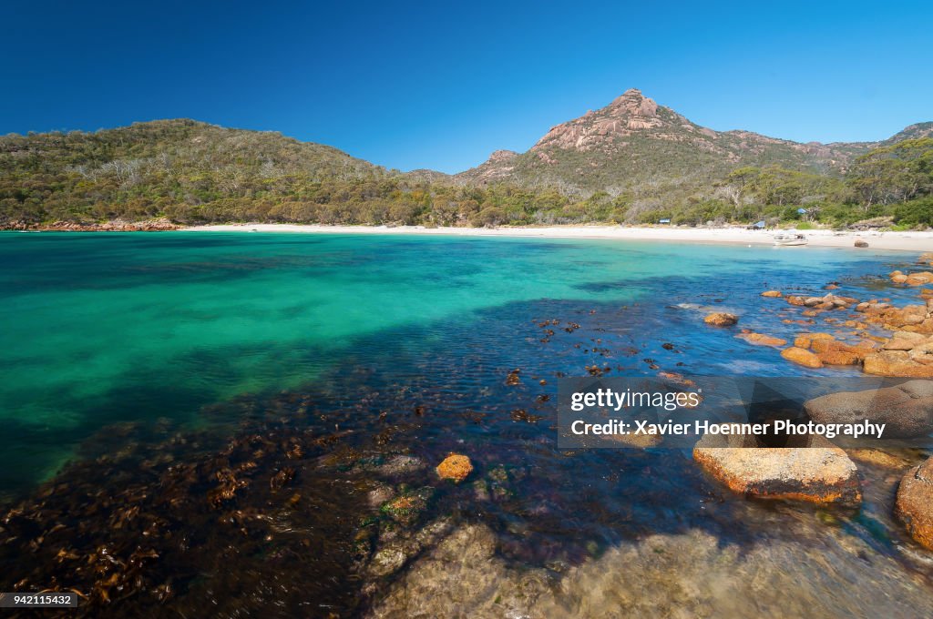 Temperate Reef | Schouten Island