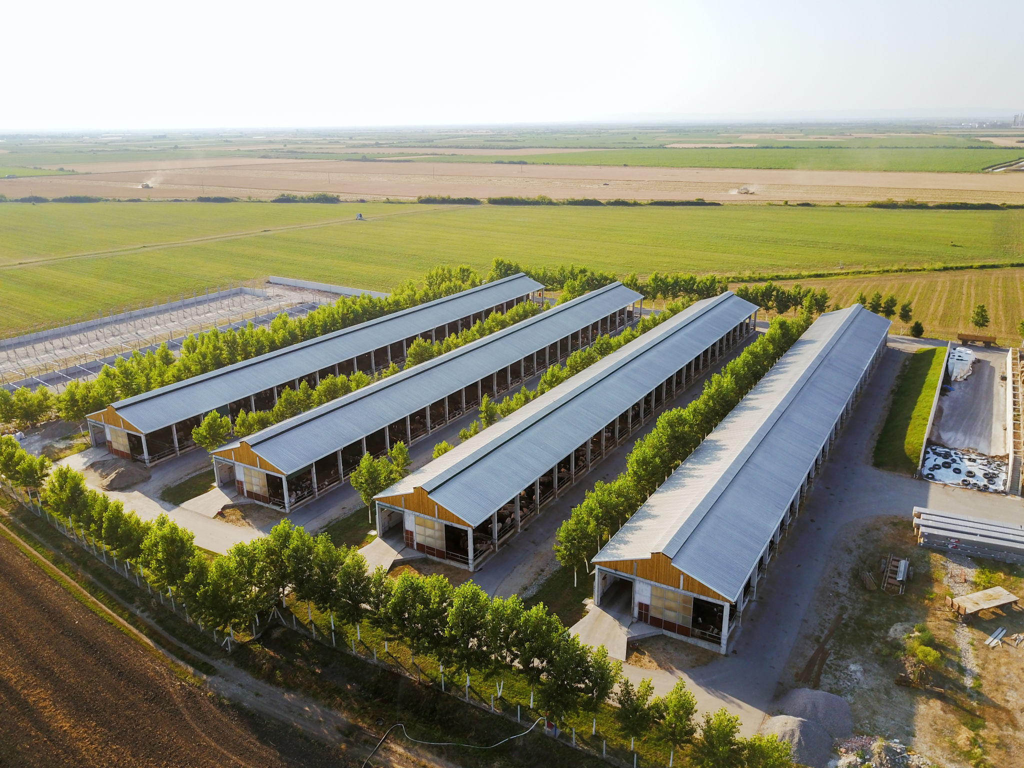 modern farm