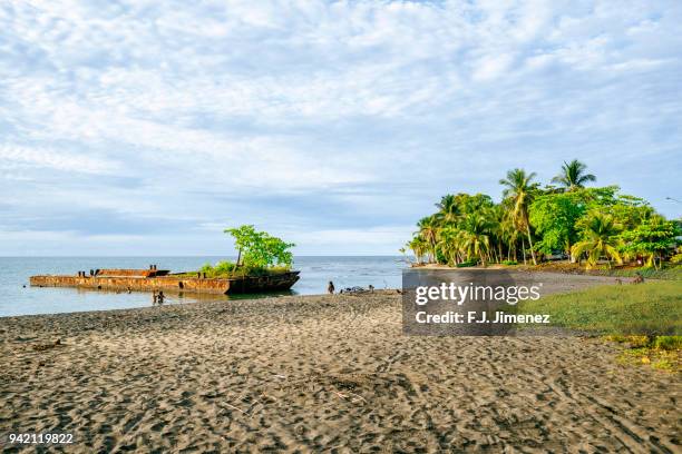 landscape of playa negra, in puerto viejo de talamanca, costa rica. - puerto viejo stock pictures, royalty-free photos & images
