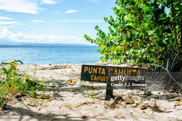 landscape of cahuita national park, in limon, costa rica - cahuita stock-fotos und bilder