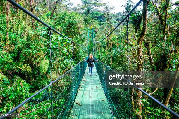 woman walking on suspension bridge in monteverde, costa rica - monteverde costa rica stock pictures, royalty-free photos & images