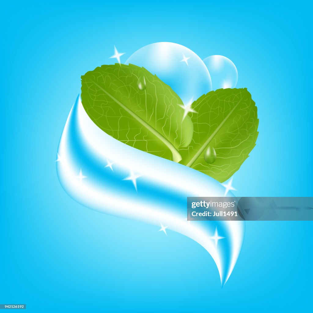 Toothpaste two-tone mint extract. Realistic fresh mint leaves with dew drops on blue background. Vector illustration