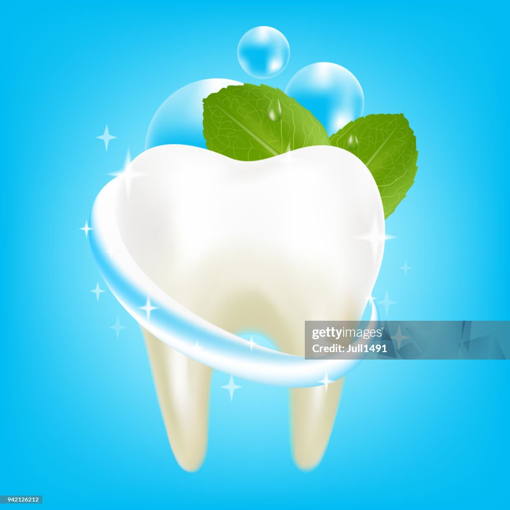 Pure white tooth and toothpaste with menthol. Realistic fresh mint leaves with water drops and big bubbles on blue background. Vector illustration