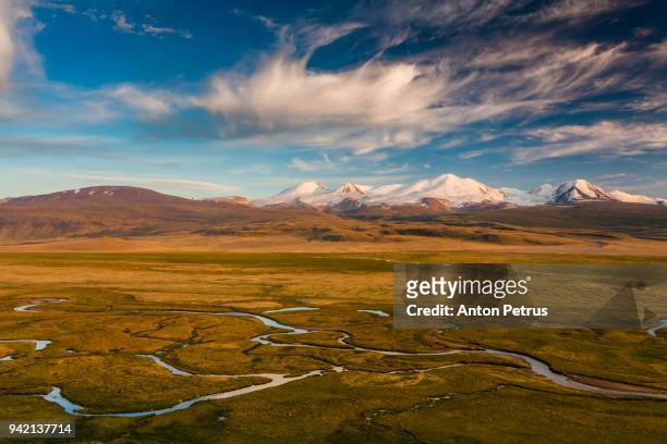 tabyn-bogdo-ola mountain, plateau ukok, altai mountains, siberia, russia - steppe stockfoto's en -beelden
