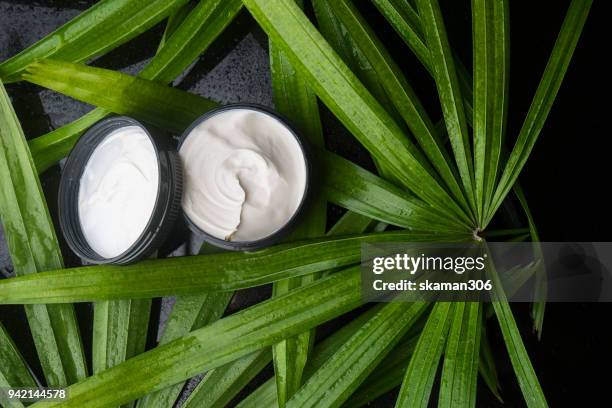 top view beauty cream with green leaves and wet background - build presents sensitive skin stock pictures, royalty-free photos & images