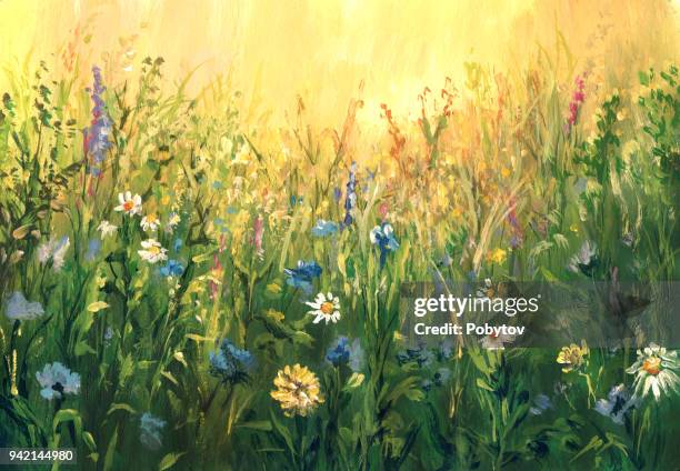 ilustrações, clipart, desenhos animados e ícones de prado de verão, aguarelas - wildflower