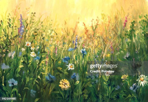 summer meadow, watercolor painting - watercolor flowers stock illustrations