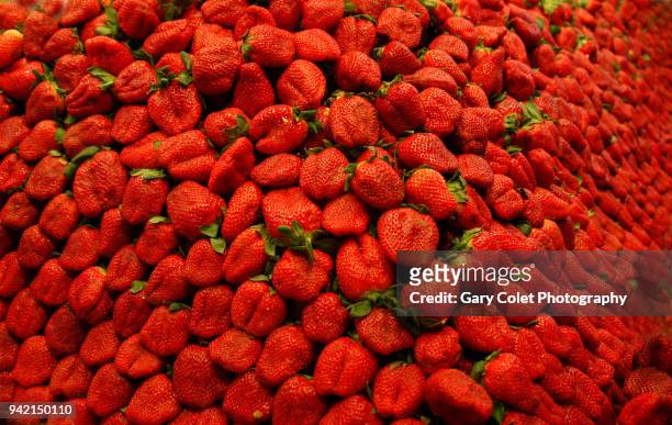 market strawberries piled high - gary colet stock pictures, royalty-free photos & images