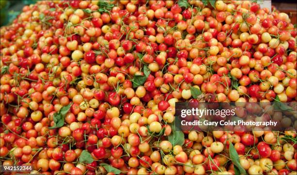 red and yellow cherries in a huge pile on a market stall - gary colet - fotografias e filmes do acervo