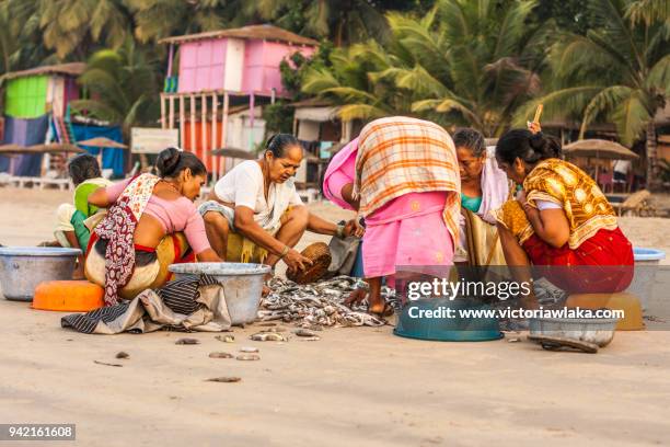 women sorting fish in palolem beach - palolem beach stock pictures, royalty-free photos & images