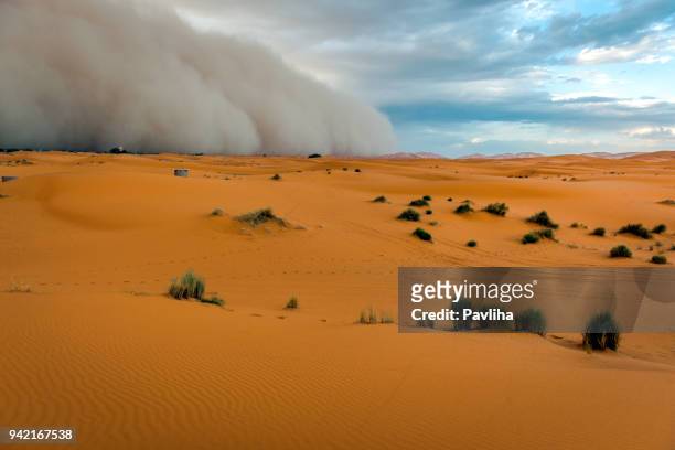 sandstorm approaching merzouga settlement,in erg chebbi desert morocco, north africa - dust storm stock pictures, royalty-free photos & images