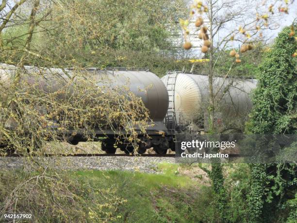 train wagons with gas tanks - movido a animal imagens e fotografias de stock