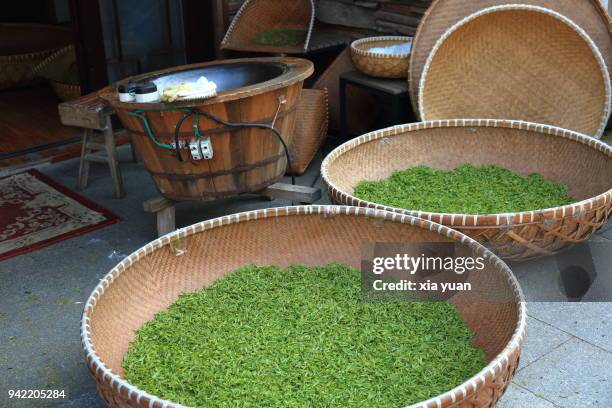 fresh tea leaves spreading in bamboo baskets to dry,hangzhou,china - hangzhou stock pictures, royalty-free photos & images