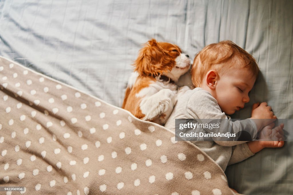 Bambino e il suo cucciolo dormendo pacificamente