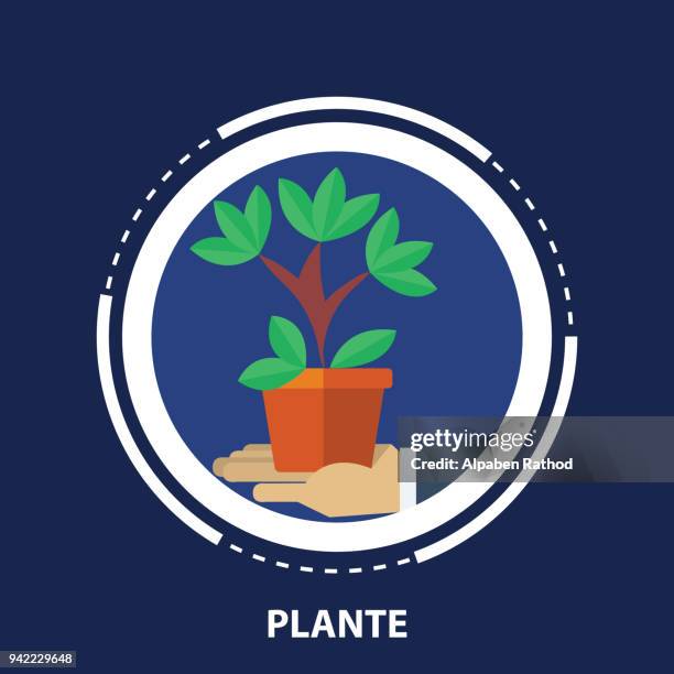 plant-green design - plant stem stock illustrations