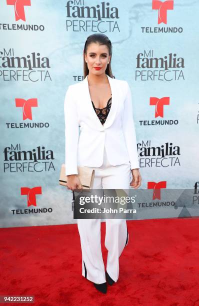 Natasha Dominguez arrives at Telemundo's "Mi Familia Perfecta" Private Premiere Screening at The Wharf Miami on April 4, 2018 in Miami, Florida.