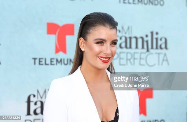 Natasha Dominguez arrives at Telemundo's "Mi Familia Perfecta" Private Premiere Screening at The Wharf Miami on April 4, 2018 in Miami, Florida.