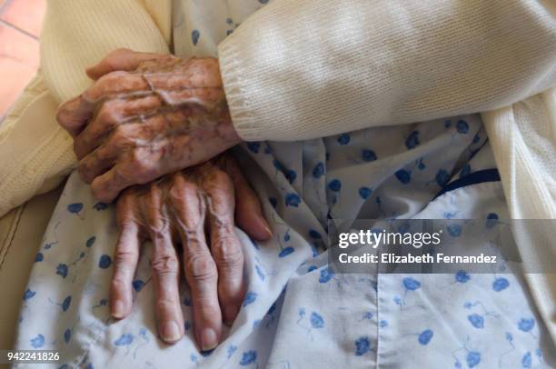 wrinkled old hands - circulatory system hand fotografías e imágenes de stock