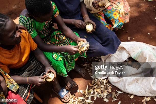 Young refugees from the Democratic Republic of Congo peel potatoes in the Kyangwali Refugee Settlement on April 5, 2018 in Kyangwali, Uganda....