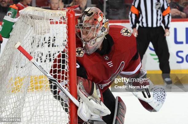 Antti Raanta of the Arizona Coyotes gets ready to make a save against the St Louis Blues at Gila River Arena on March 31, 2018 in Glendale, Arizona.