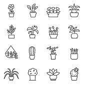 House plants icon set. Flower in pot. Line with editable stroke
