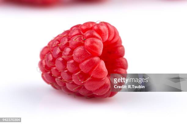 fresh raspberry isolated - hallon bildbanksfoton och bilder