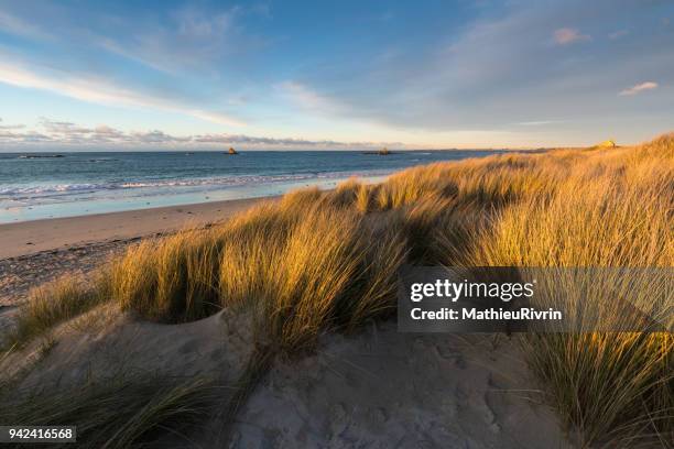 coucher de soleil dans les dunes du finistère nord - bretagne photos et images de collection