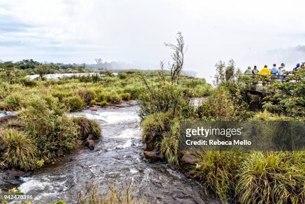 the  iguazu river flowing fast to devil's throat waterfall - argentina devils throat stockfoto's en -beelden