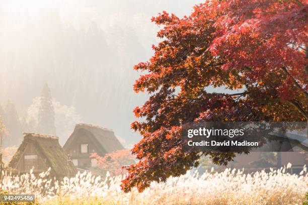 thatched roof houses in shirakawa-go, japan - shirakawa go stock pictures, royalty-free photos & images