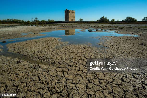 the carbonniere tower, saint laurent d aigouze, camargue, gard, france - sec photos et images de collection