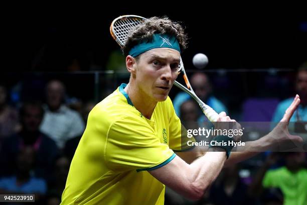 379 Cameron Pilley Photos High Res Pictures Getty Images 379-cameron-pilley-photos-high-res-pictures-getty-images